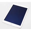 Apple iPad Air 2 128GB Cellular MH1G2J-A